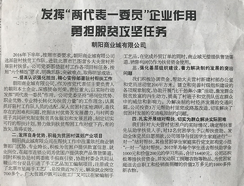 發揮“兩代表一委員”企業作用 勇擔脫貧攻堅任務